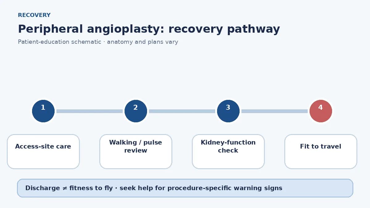 Peripheral angioplasty recovery pathway showing access-site care, walking review, kidney checks and travel clearance