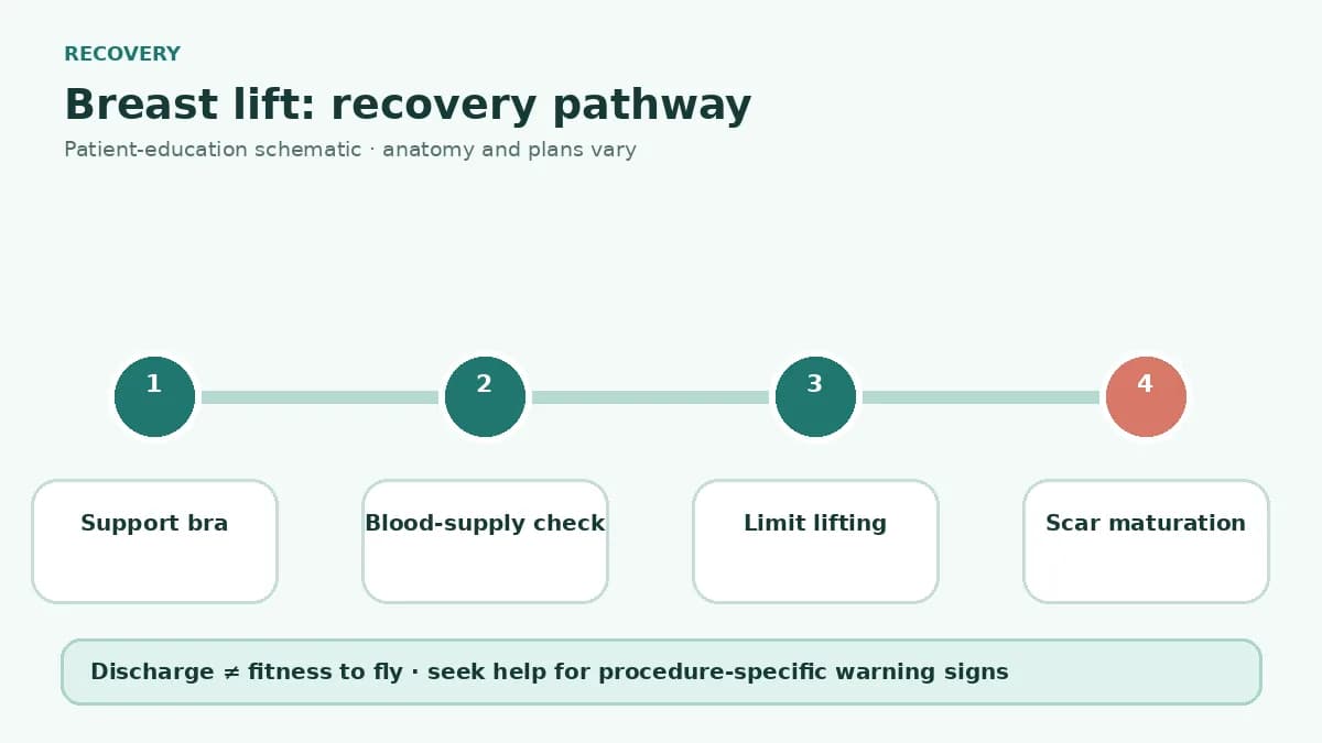 Breast lift recovery pathway showing support bra use, nipple and wound checks, activity restrictions and scar maturation