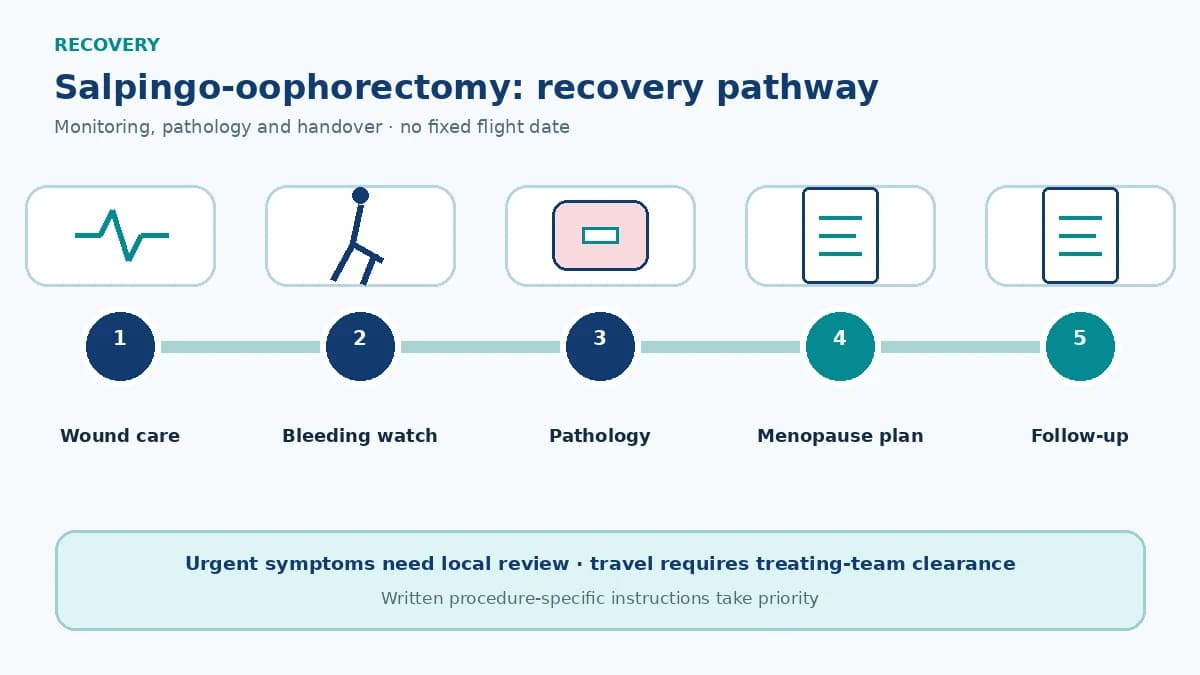 Salpingo-oophorectomy recovery pathway showing surgical monitoring, pathology, fertility or surgical-menopause counselling and specialist follow-up