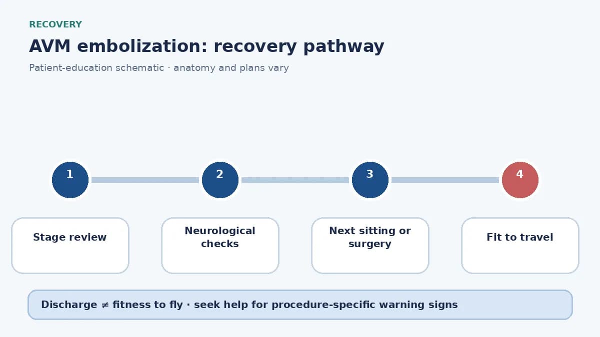 AVM-embolization recovery pathway showing stage review, neurological checks and next-sitting planning