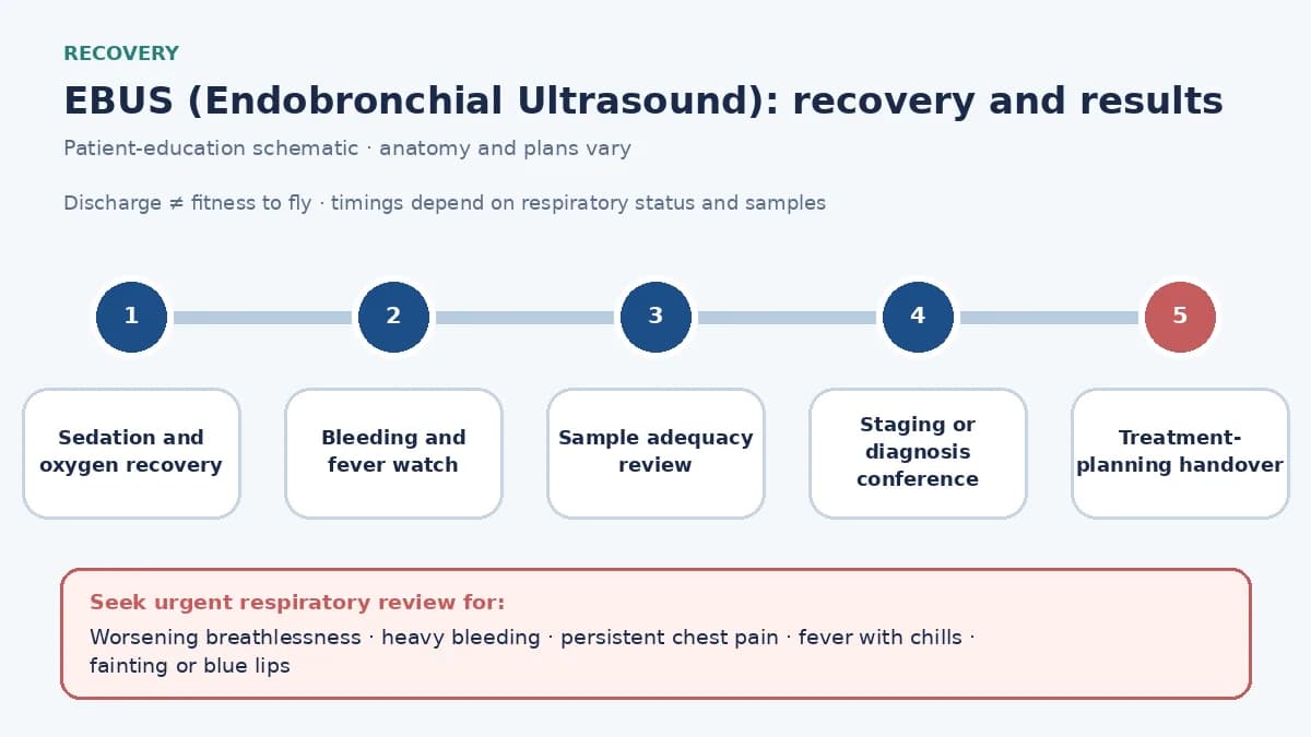 EBUS recovery and results timeline showing oxygen and bleeding observation, cytology adequacy, microbiology or biomarker processing, staging review, warning symptoms and individualized travel clearance