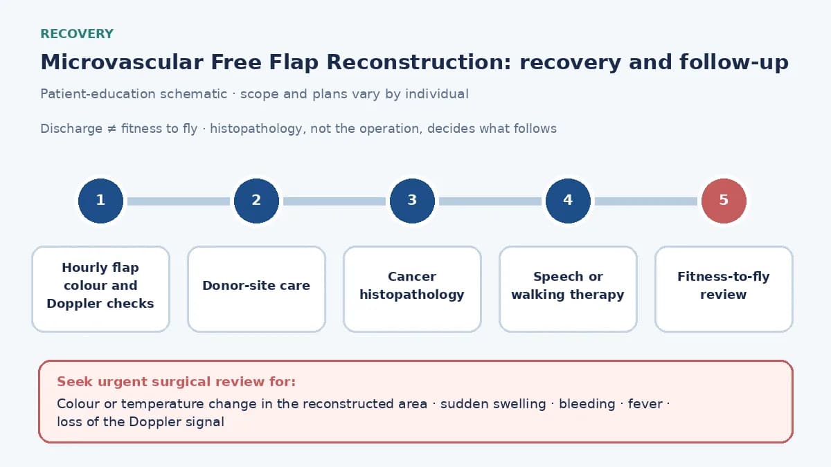 Medical infographic of the free-flap recovery pathway: hourly flap colour and Doppler checks, donor-site care, cancer histopathology, and speech or walking rehabilitation before travel home.