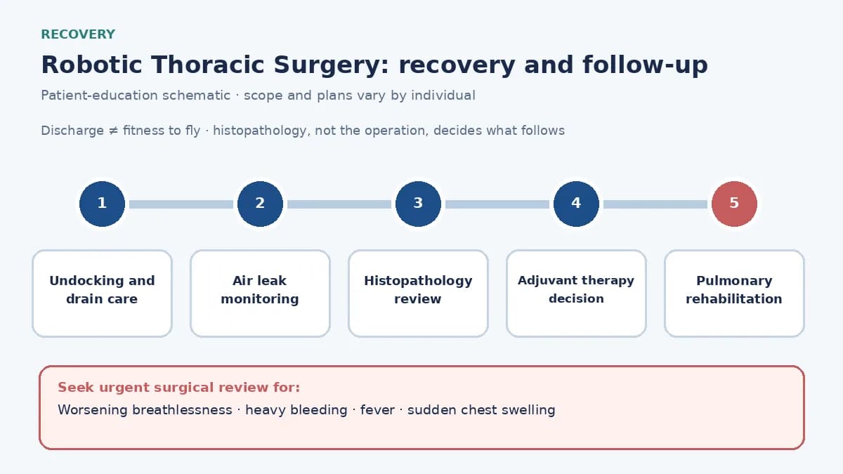 Medical infographic of the robotic thoracic recovery pathway: undocking and drain care, air leak monitoring, histopathology, and pulmonary rehabilitation after the named resection.