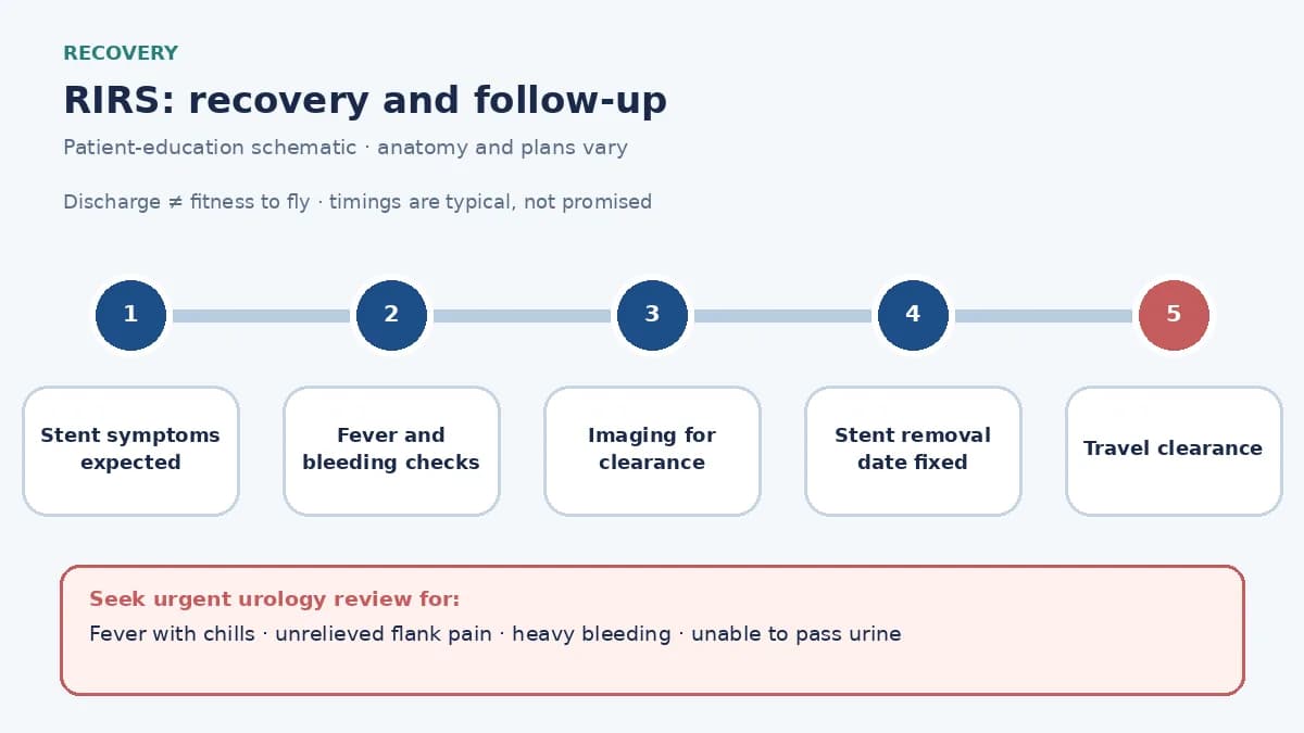 RIRS recovery pathway infographic showing stent-symptom expectations, fever and bleeding checks, imaging to confirm clearance, stent-removal date and travel clearance
