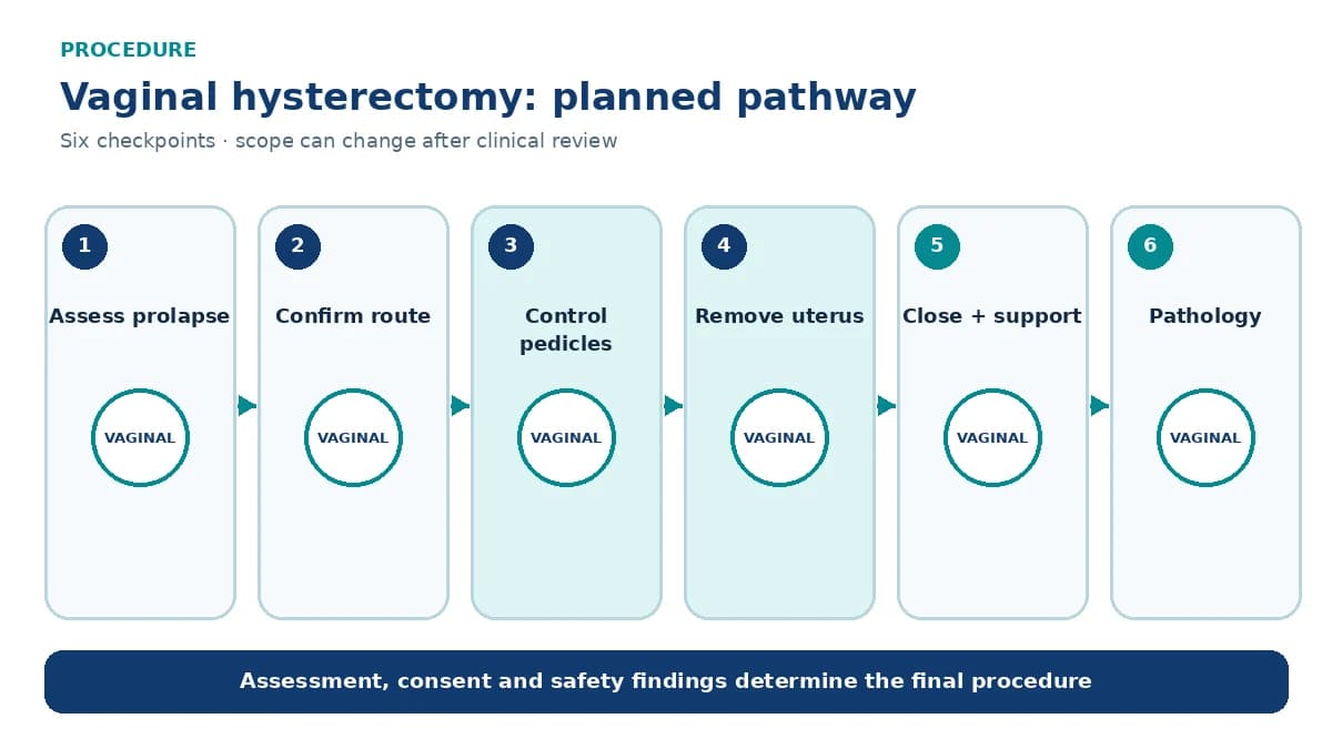 Numbered vaginal hysterectomy pathway showing prolapse assessment, vaginal access, pedicle control, uterine removal, cuff closure and pathology