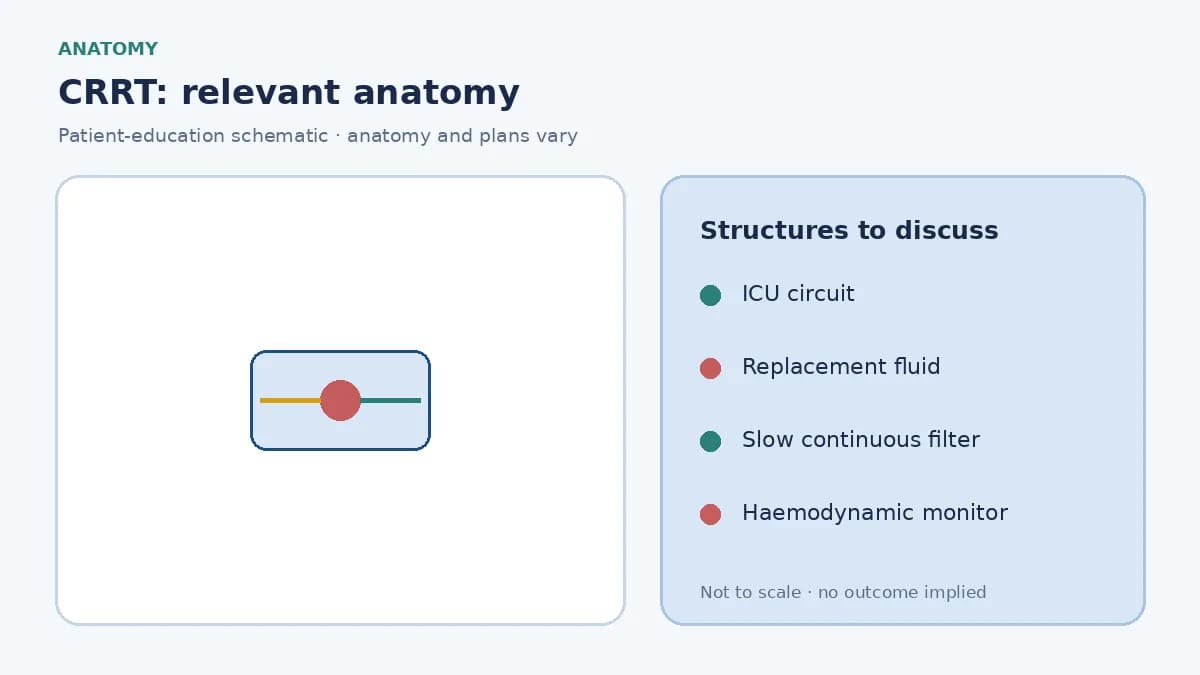 Medical infographic of CRRT showing an ICU circuit, replacement fluid and slow continuous blood purification