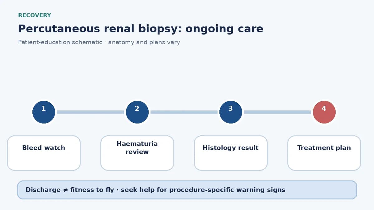 Percutaneous-renal-biopsy recovery pathway showing observation for bleeding, haematuria watch and diagnosis discussion