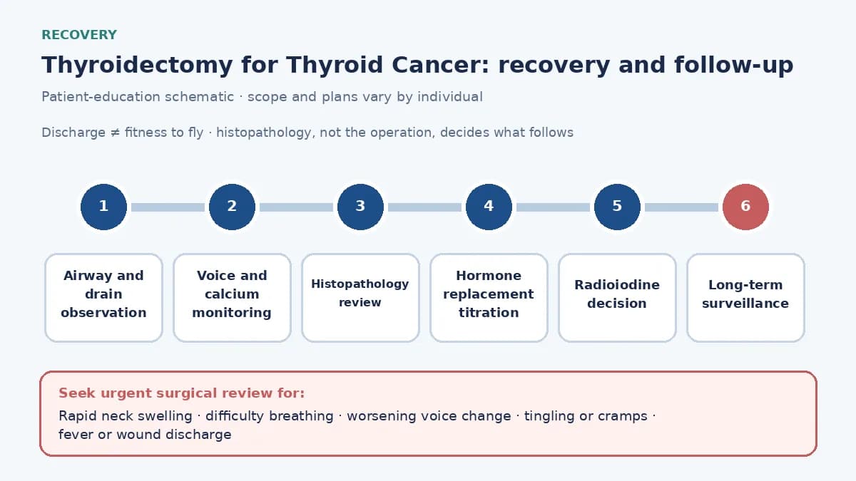 Medical infographic of the thyroid cancer recovery pathway: airway and drain observation, voice and calcium monitoring, histopathology, hormone replacement, the radioiodine decision and long-term surveillance.